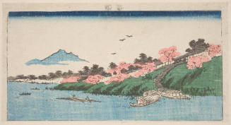 Cherry Trees In Bloom On The Bank Of The Tonegawa