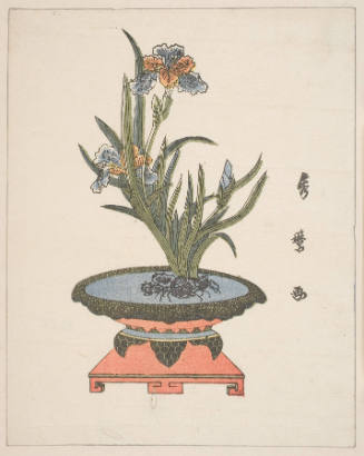 An Ikebana