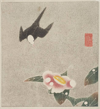 White-headed Shirogashira Bird and Camellia