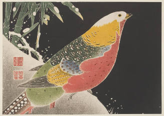 Golden Pheasant and Snow-covered Bamboo