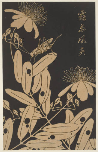 "Beauty Willow" (Biyoyanagi) and Grasshopper