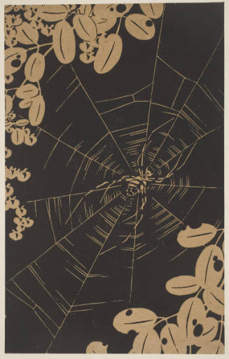 Bush Clover (Hagi) and a Spider in its Web