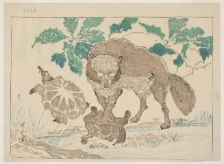 A Tanuki, Two Snapping Turtles And A Large Radish With Green Leaves