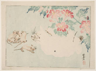 Two White Cats, Four Rats, And Pink Flowers Of The Oshiroi