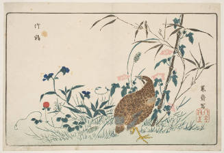 Morning Glories, Bamboo, Flat Bell, Wild Strawberry and a Quail
