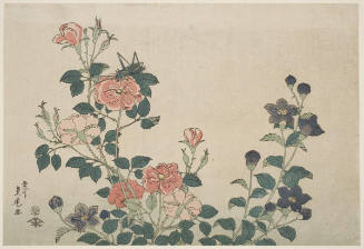 Roses, Kikiyo and a Grasshopper