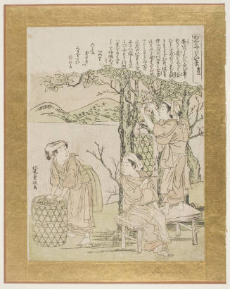 Women Gathering Mulberry Leaves to Feed the Silkworms