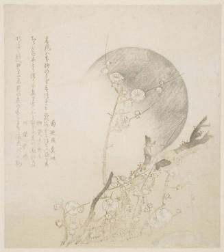 Plum Blossoms and Full Moon