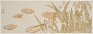 Iris Flowers and Sake Cups