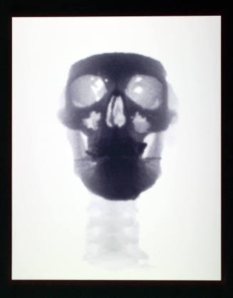 Untitled (Skull Triptych, right panel)