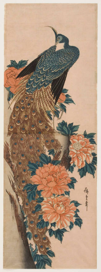 Peacock and Peonies (Botan ni kujaku)