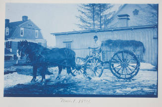 Horse-drawn Carriage on Salisbury Estate