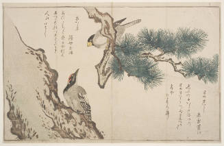 Japanese Grosbeak (ikaru) and Woodpecker (kitsutsuki)