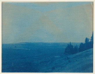 Untitled (right section of panoramic view with trees at right)
