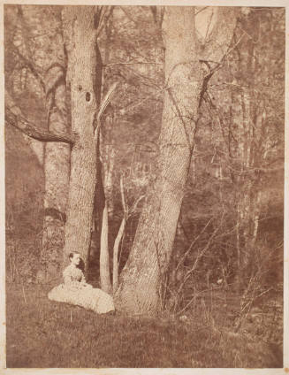 Woman Seated by Poplar Tree