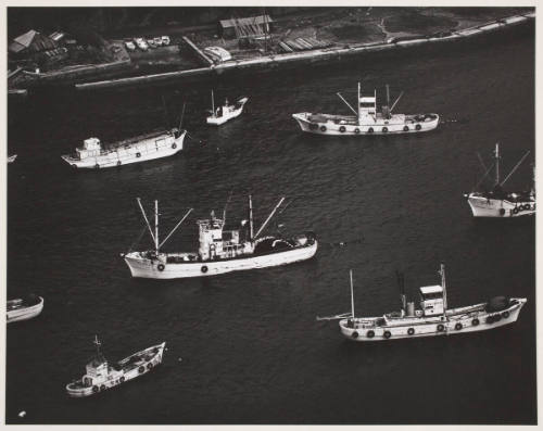 Untitled (fishing boats in harbor)