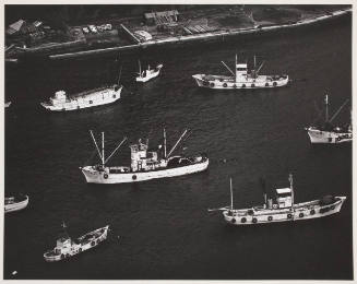 Untitled (fishing boats in harbor)