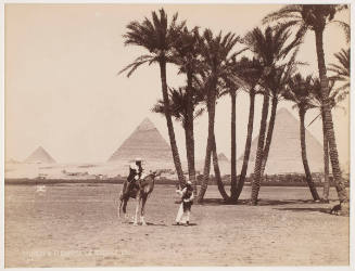 Pyraminds and Palms, Giza