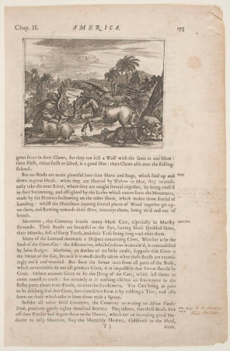 Animals of America