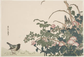 Morning Glories, Bush Clover, another Flowering Plant and Two Birds