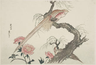 Peonies and Two Golden Pheasants Perched Upon a Willow Tree Trunk