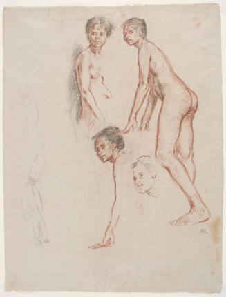 Sketches of a Female Nude