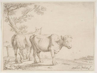 Horse and Cow under Tree