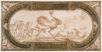 An Ostrich Hunt