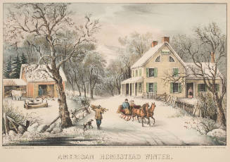 American Homestead Winter
