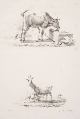"Drinking Cow" and "Goat and her Kid"