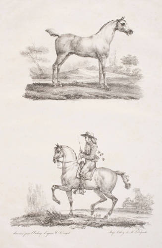 "Arabian Stallion" and "Spanish Horseman"