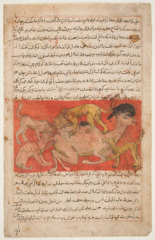 "The Killing of the Camel", folio from a Kalīla wa Dimna ("Kalila and Dimna") by Abu'l Ma'ali Nasr Allah ibn Munshi