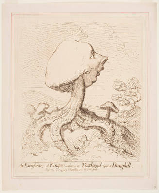 An Excrescence; _ a Fungus; _ alias _ a Toadstool upon a Dung-hill.