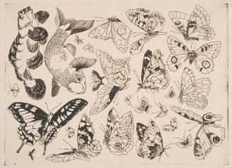 Butterflies and Fish, Designs for China Decoration (Service Rousseau)