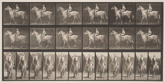 Walking; saddle; female rider, nude; gray horse Tom