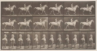 Trotting; saddle; rider, 43, nude; light-gray horse Smith