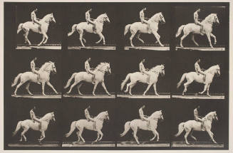 Canter; bare back; rider, 106, nude; white horse Clinton