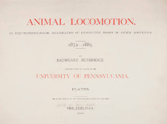 Animal Locomotion portfolio with text pages