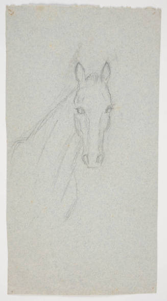Untitled (horse)