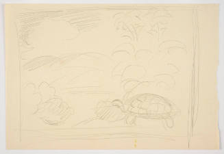 Untitled (tortoise in tropical landscape)