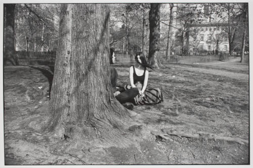 Central Park Tree, Woman's Hair Blowing in Her Face