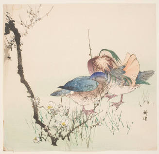 Mandarin Ducks and Plum Blossoms
