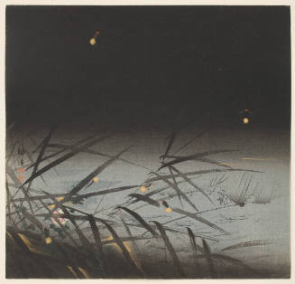 Fireflies and Reeds