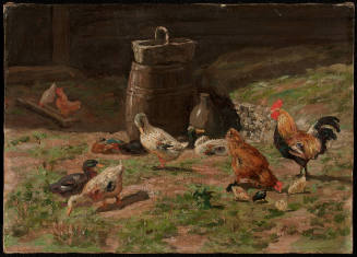 Fowls in Yard