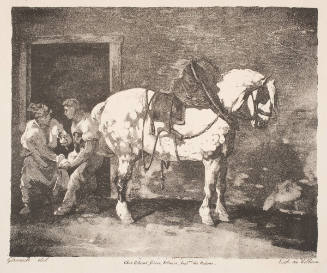 Shoeing a Draft Horse