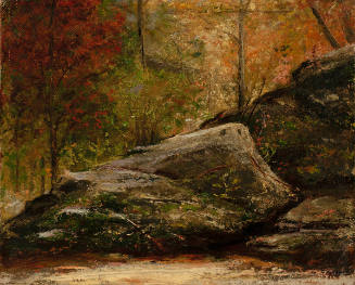 Landscape with Rocks