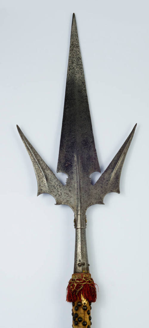 Corcesca Head