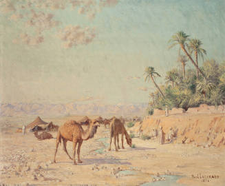 Camels at an Oasis