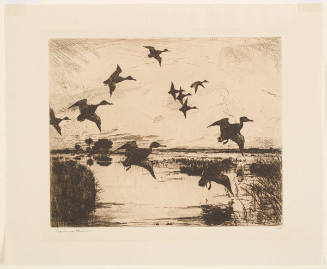 Untitled (Eleven Ducks in Flight over March)