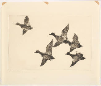 Untitled (Five Mallards in Flight)